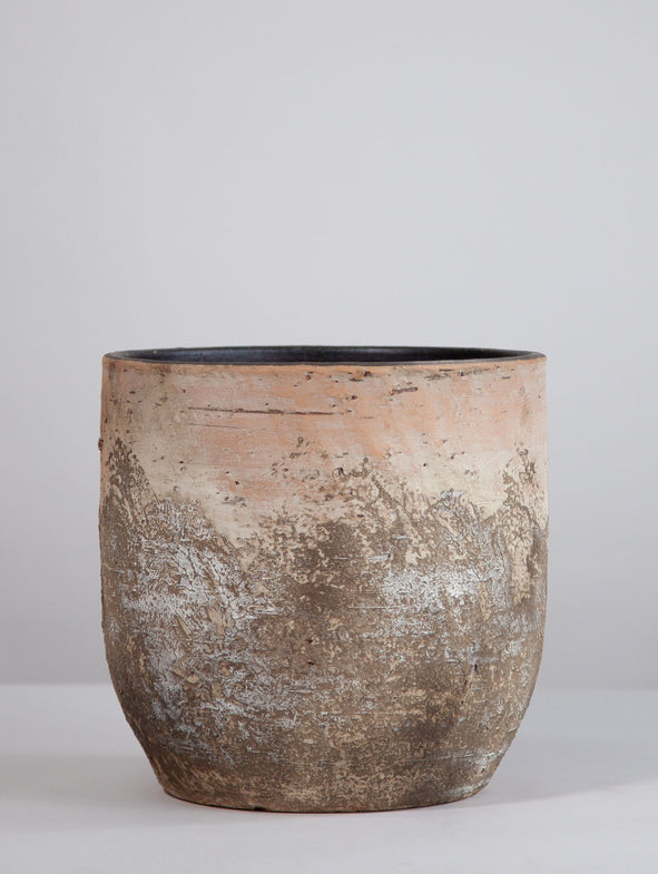 Albero - 26cm